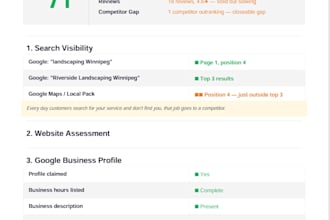 audit your business online presence and show you whats costing you customers