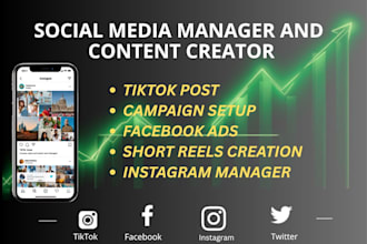 be your tiktok post and instagram content manager