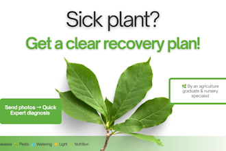 diagnose your sick plant and create a clear recovery plan