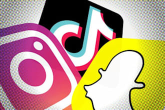 develop snapchat, facebook, instagram, whatsapp, telegram, reddit clone app