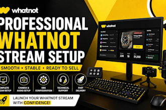 professionally set up a whatnot livestream service