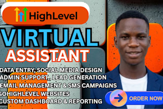 go high level virtual assistant go high level expert go high level workflow crm