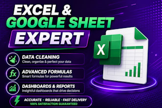 clean, format, and build advanced excel or google sheets dashboards