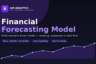 build a professional financial forecasting model