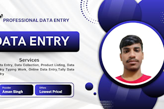 do fastest data entry, data collection, copy paste work