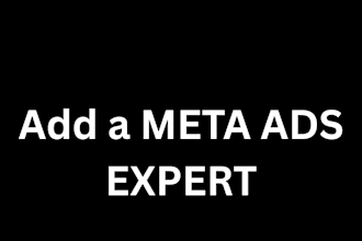 manage facebook instagram and meta ads campaigns