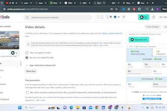 do youtube SEO and channel optimization