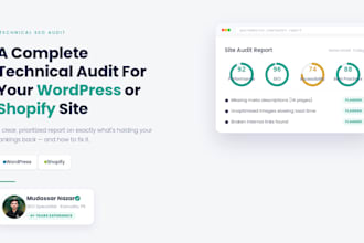 do a technical audit for your wordpress or shopify website