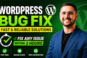 fix wordpress issues, critical error, bugs and elementor fast