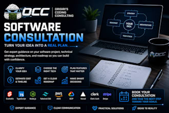 provide a software consultation for your app or startup