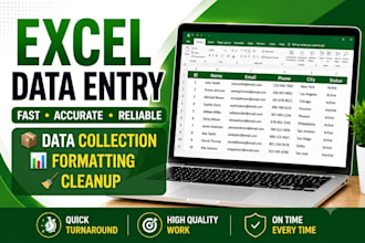 do accurate excel data entry and spreadsheet formatting