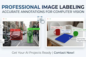do image annotation and data labeling and object tracking