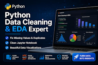 do python data cleaning and exploratory data analysis eda