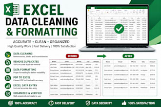 clean excel data, remove duplicates and format spreadsheets