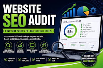 perform a professional website SEO audit