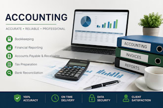 do data entry in excel, tally prime, do accounting work