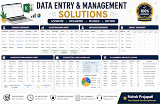 do proffesional data entry, excel typing and ms office work