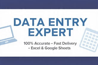 accurate data entry, excel typing and google sheets work