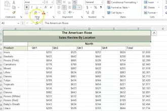 do excel data entry and copy paste tasks
