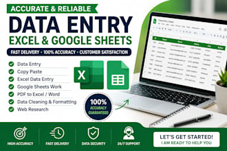 google sheets, excel data entry