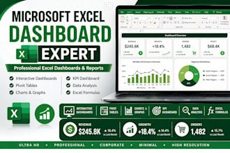 create professional microsoft excel dashboards and reports