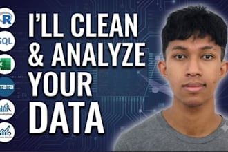 clean and analyze data for businesses and researchers