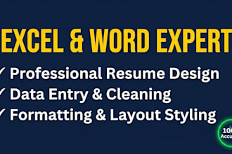 do professional resume formatting and design in ms word and excel