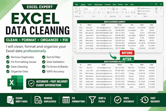 clean, format and organize microsoft excel data professionally