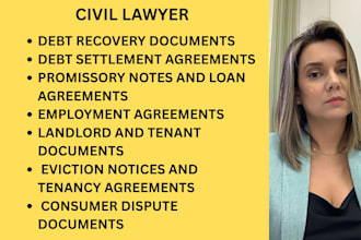 handle debt collection, credit disputes, chargebacks, and recovery cases