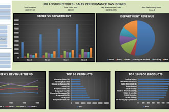 create professional dashboards for your business