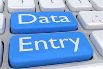 be your virtual assistant for data entry data mining copy paste