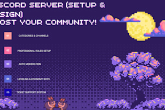 create, setup and design a professional discord server