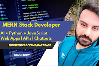 mern stack, ai, python and javascript developer