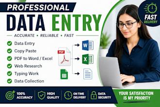 do professional data entry, PDF to excel and word typing