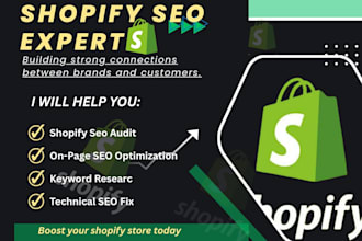 do complete shopify SEO optimization to rank your store higher on google