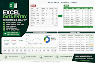 do accurate excel data entry formatting and spreadsheet clean up