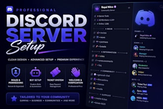 create a professional discord server setup