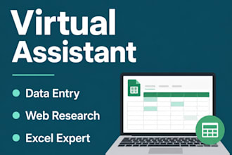 be your virtual assistant for data entry and web research