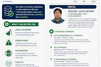 do professional data cleansing and excel or python automation