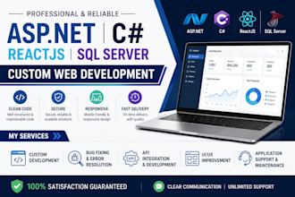 build and fix aspnet vbnet csharp reactjs and sql server web applications