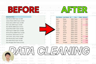 organize and clean your data fast