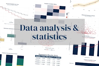 perform professional statistical data analysis in r