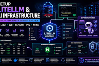 setup litellm hetzner ai e2b code sandbox skyvern automation expert pm2 nginx
