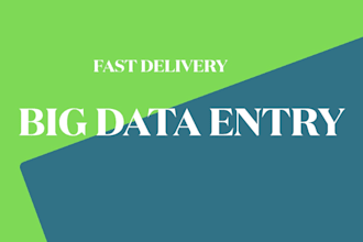do a fast delivery big data entry