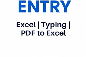 fast and accurate data entry and excel work