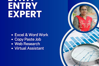 do professional data entry and web research work