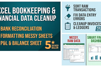 do professional bookkeeping and financial data cleanup in excel