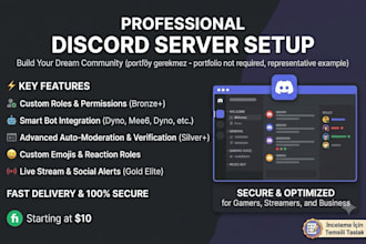 set up a professional discord server for gaming or business