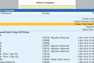 do professional bookkeeping in tally prime and excel data entry
