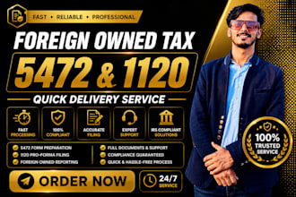 prepare and efile form 5472, 1120, 1040nr for foreign owned llc tax filing, CPA